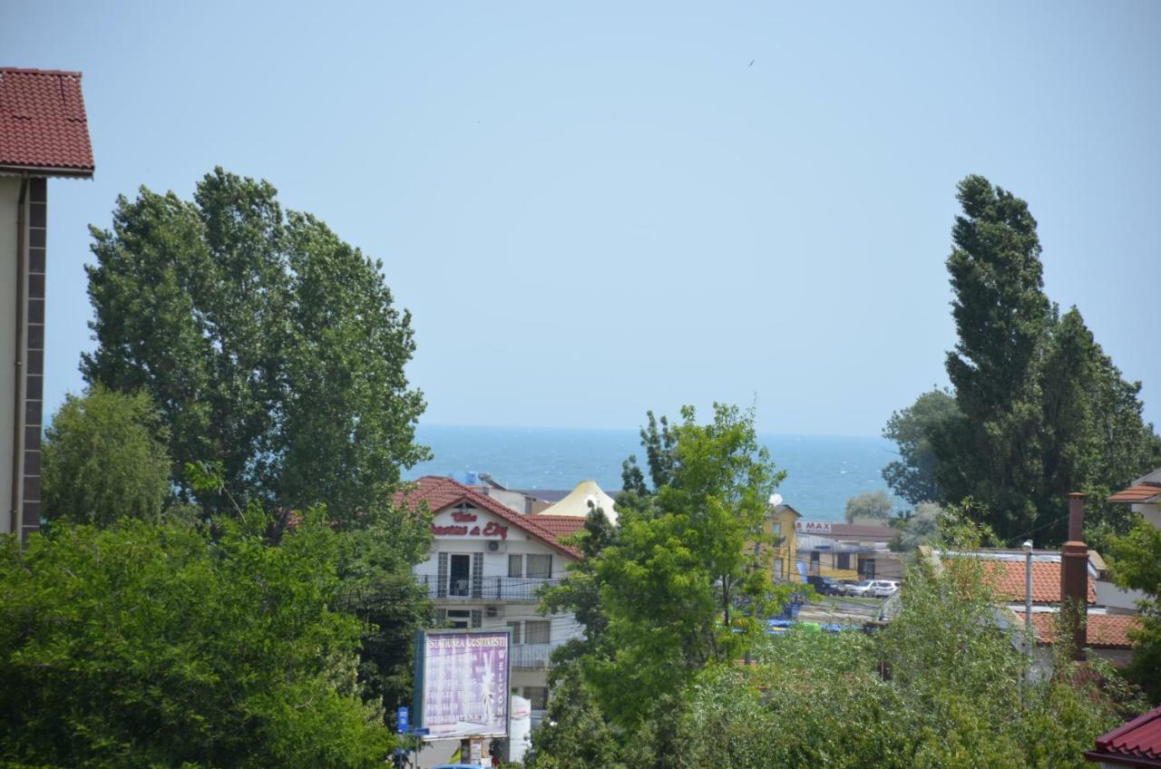 Vila Cu Livada Костинешти Экстерьер фото